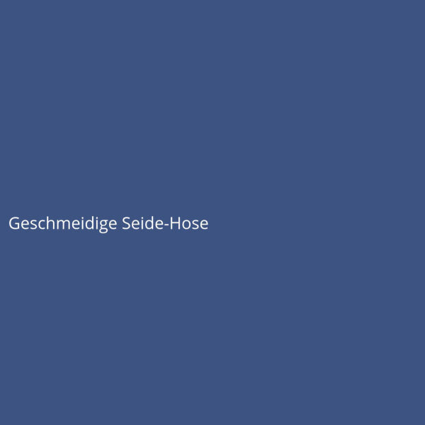 Geschmeidige Seide-Hose